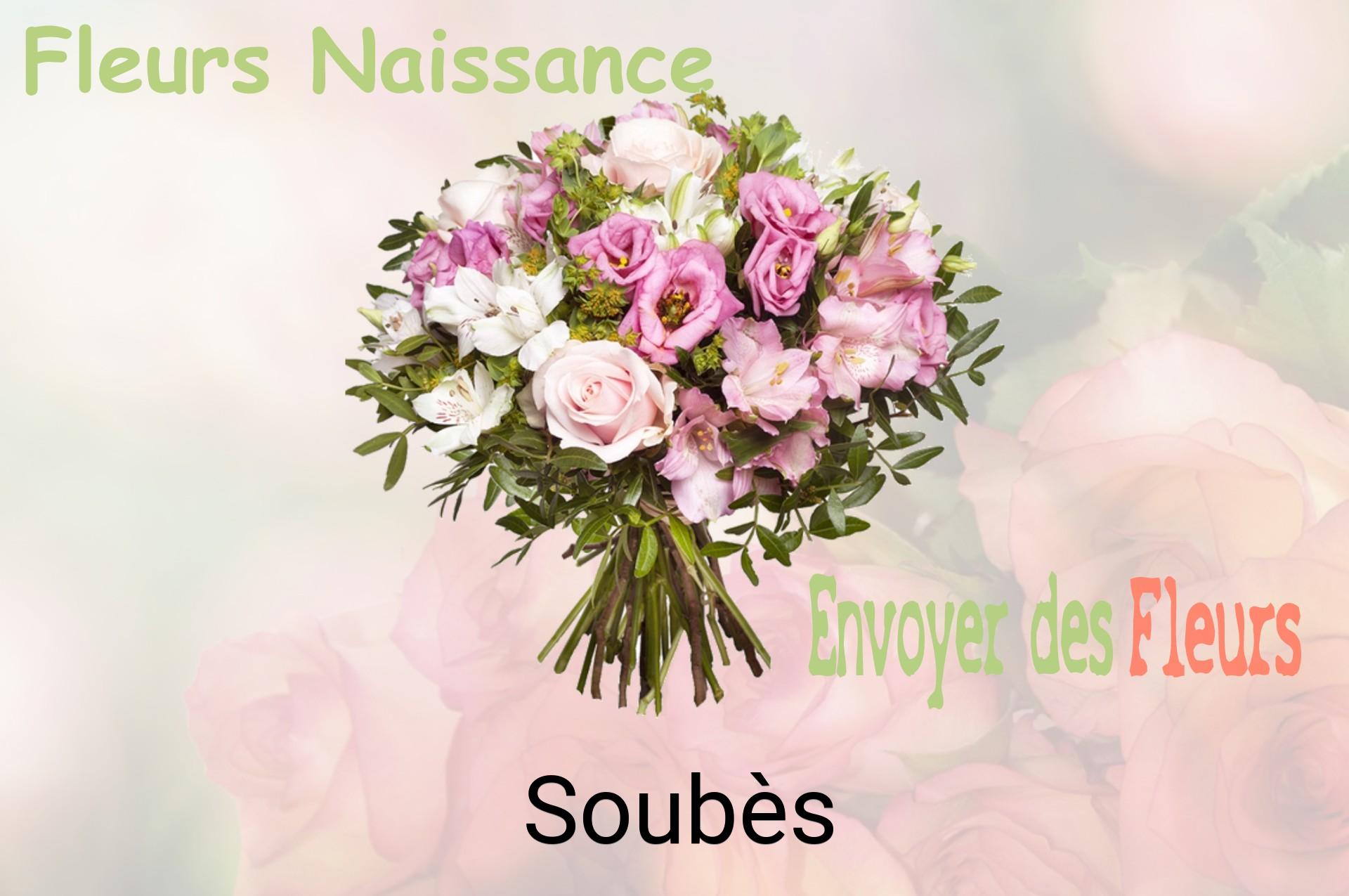 Bouquet de fleurs de naissance livré à Soubès